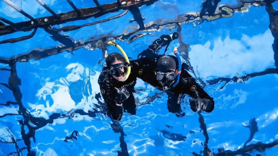 Dubai Aquarium &#038; Underwater Zoo Cage Snorkelling - Image 1